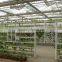 Low Cost Tunnel Plastic Greenhouse For Sale