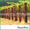 Hot sale Vineyard Trellis
