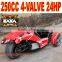Recumbent Trike 250cc EEC
