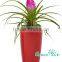 new products self watering flower pot