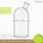 Buy Big Airtight Glass Milk Bottle with Wooden Lid