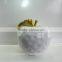 Glazed Apple Fruit Ornament for DecorationGH141Z443L-GWGH141Z443L-GW