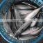 China-made frozen pacific mackerel fresh hot sale fish