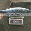 Frozen Fresh Bonito 750g up