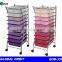 Colorful Cart (Four-Leaved Clover Series) trolley