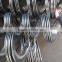 Endless Cold Rolled Screw Flight
