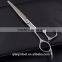 Hair cutting scissors salon & spa equipment shears Double Hook 6.0" Finger Rest