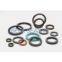 automotive oil seal