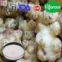 100% Organic gingembre extract/gingembre/gingembre powder