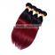 Wholesale fast shipping virgin Indian hair vendors , ombre hair
