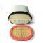 Hot sale honeycomb structure air filter AF26247 AF26248