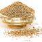 Superior Grade Trachyspermum ammi Powder For OEM