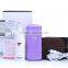 beauty facial nano handy mist facial sprayer/USB Chargeable hany nano mist on promote
