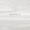 600x600mm price list glazed leveling matt surface rustic ceramics porcelain  floor tiles