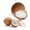 Original Flavor Bulk Packaging Fatty AD Drying Process Common Cultivation Type Dry Desiccated Coconut Powder