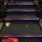 Chinese factory wholesale cinema carpet step up orange linear light stair lamp