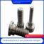 hot-dip galvanized hexagon bolt, high-strength hot-dip galvanized screw, photovoltaic fittings, electric zinc-permeation connecting pair