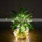 Outdoor Solar Powered LED String Lights Waterproof Copper Wire Lights for Garden Party 800mA Capacity