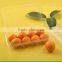 eco-friendly disposable plastic plastic fruit tray
