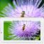 hotsale 7 inch dual core android tablet with sim card                        
                                                Quality Choice