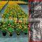 Ground cover Ground Mulching PP woven fabric for Excellent Weed Control