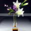 High quality glass flower vase for home decoration decoration CV-1021