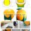 fiberglass fruit kiosk/food kiosk/orange kiosk