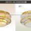 Modern Ceiling Light with White wram light