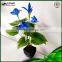 Hot New Products For 2015 Potted Plant