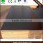 Poplar core Film faced shuttering plywood