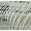 Galvanized razor barbed wire/ razor barbed wire meshs fence/Razor wire