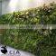 Artificial plants outdoor green wall , foliage wall decoration , fern wall decore plastic plant