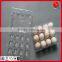 plastic egg box