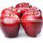 Best Quality Chinese Fresh Huaniu Apple