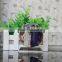beautiful small crystal frame photo image