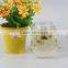 Promotional Mouth Blown Clear High Borosilicate Glass Coffee Tea Cup With Glass Infuser