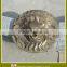 garden bronze lion head water fountain