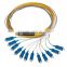 12 core sc connector bundle fiber optic pigtail/12 core optical fiber pigtail