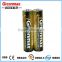 Free HG/CD/PD 1.5V AAA AM-4 LR03 Alkaline Battery