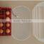Factory Price ZH-12 Mini Egg Incubator for Sale