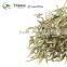 Organic Yin Zhen Silver Needle White Tea