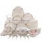 60pcs Bone china Dinner set