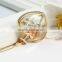 wholesale top selling gold chain jewelry Plant specimens real flower in glass bottle pendant heart necklace
