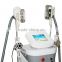 Beauty Salon Equipment Low Price Increasing Muscle Tone Cryolipolysis Slimming Machine Price Cryolipolysis Machine 3.5