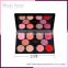 kiss beauty blusher palette 10 colors Multicolor iridescent high quality cosmetics