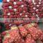 2015 fresh red and yellow onions from China with good quality