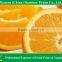 tropical fruits names of Fresh Navel Orange mandarin