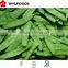 IQF china price for frozen Pea pods 2015 high quality