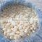 high quanlity organic garlic segment in brine