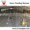 Automatic Poultry House Animal feeding line for broiler chicken Poultry equipment in Animal feeding system